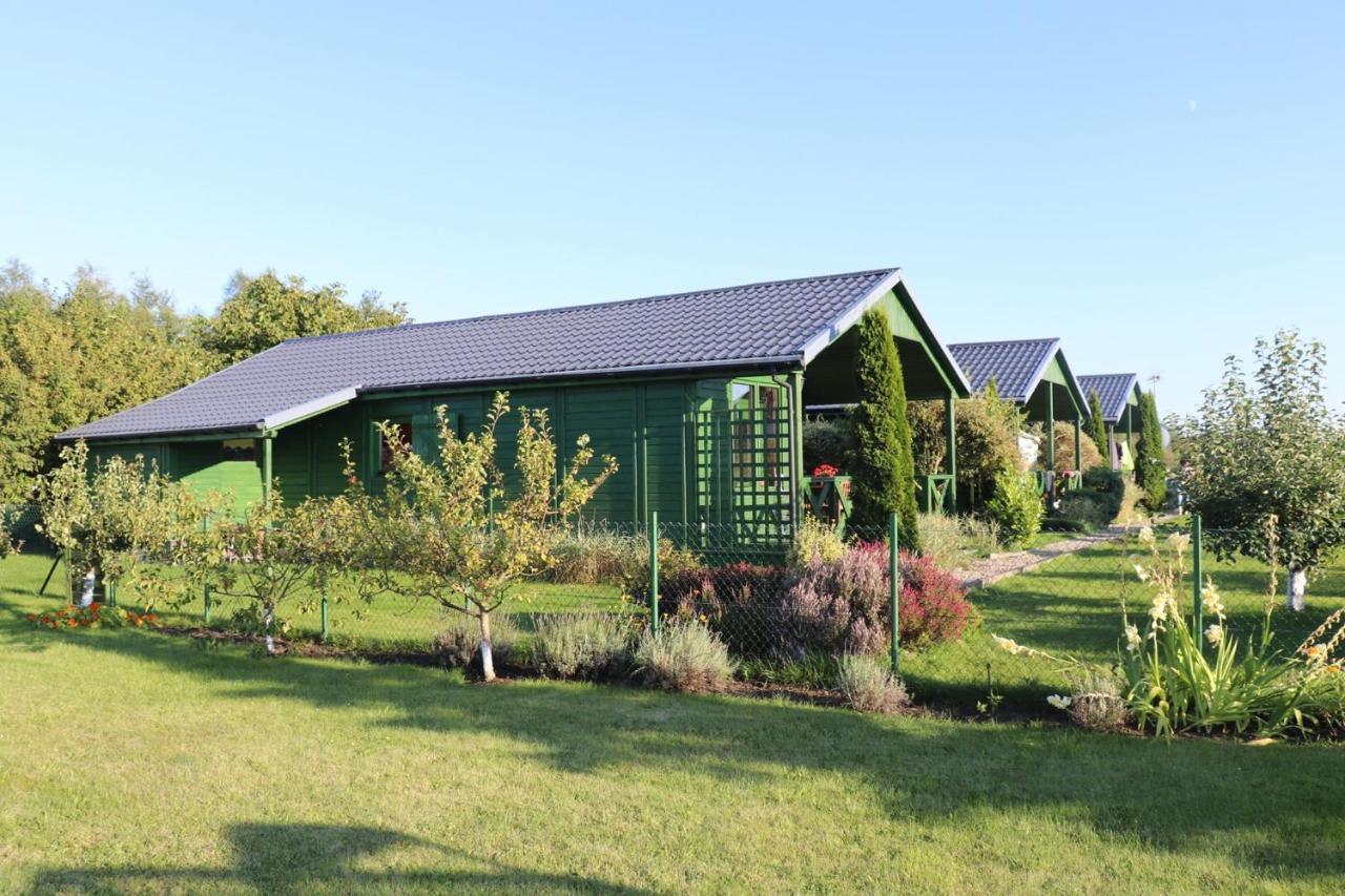 Domki Green Grzybowo Grzybowo  Exteriér fotografie